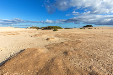 Dune di Corralejo