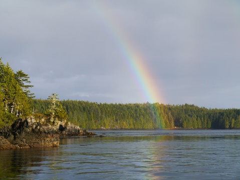 Alaska in USA cloud day with a beautiful rainbo - calm sea with mountains and trees