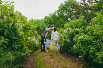 Man, woman walking on nature bush background holding hands little cute child baby boy. Mother kiss father, little kid son. Parenthood, family day 15 of may, love, parents, children concept. Back view.