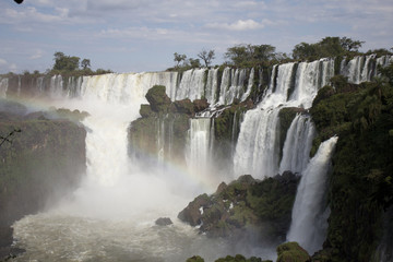 Fototapeta premium 【世界三大瀑布】イグアスの滝