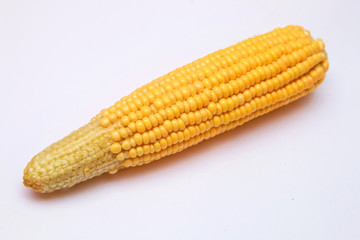 Sweet corn is delicious and ready to eat. Vegetables are beneficial to the body, have vitamins and delicious taste. on white background