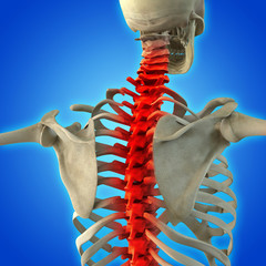 Skeletal back pain isolated on blue