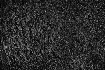 Textura