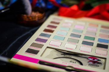 palette of eye shadow and eyebrow