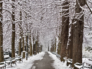 Winterlandschaft