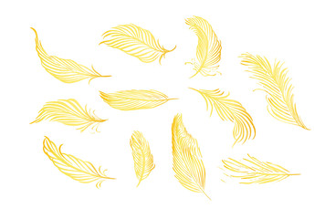 Collection of hand drawn feather. Set of decorative animals birds feathers. Hand drawn vector art. Brush pen gold ink illustration