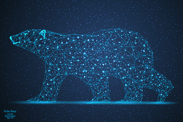Obraz na płótnie Canvas Polar bear is an abstract image of a polygonal triangle model.Starry sky. Low poly design. Vector EPS 10.