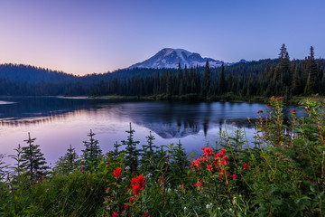 Amazing view on the mount reflection in the violet lake. Mount Rainier National Park, Reflection Lake, Summer