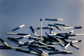 One match standing among many burned matches. The concept of the winner over rivals