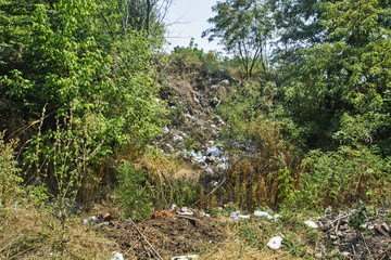 Wild dumps by the road in nature