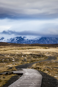 Wooden Trail in the Icelandic Wilderness Leading through the Tundra