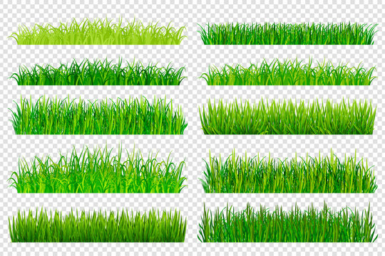 Spring green grass borders isolated on transparent background. Vector illustration