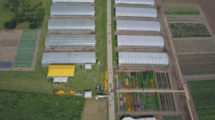 Construction of greenhouses in the field. Clip. Agriculture, agrotechnics of closed ground. Frameworks of greenhouses, top view