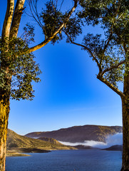 Eucalyptus Trees Frame the Reservoir