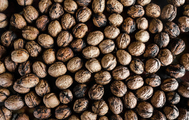 texture a lot of walnuts on the whole frame