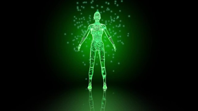 3D rendered animation of the female astral energy flowing through the body.

