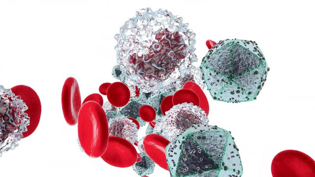 Anatomically correct HIV Viruses flowing in the bloodstream with Erythrocyte and Monocyte cells.
