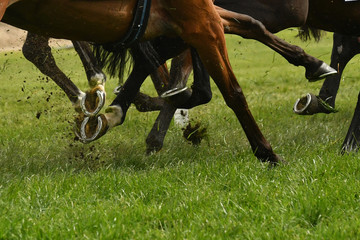 Horse racing action