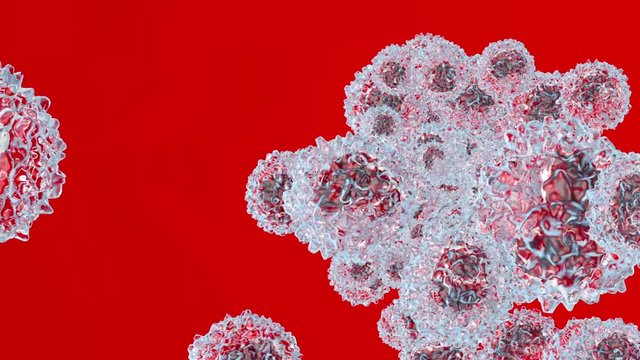 Monocyte type Leukocyte cells flowing in the blood stream.
