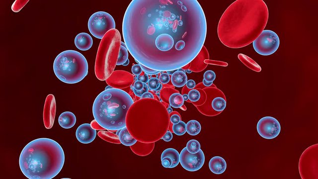 Oxygen flowing with Erythrocytes in the bloodstream.
