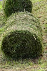緑の牧草ロール