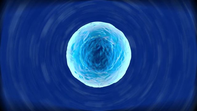 3D rendered Animation of a morphing, single biological Cell.
