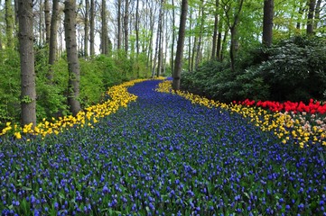 Purple River Keukenhof ornamental garden also known as the Garden of Europe, is one of the world's...