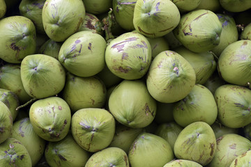 Closeup of pile of coconuts