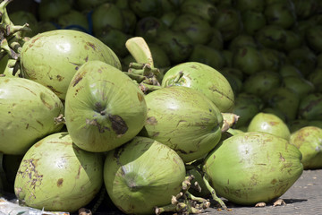 Pile of coconuts in truck bodywork