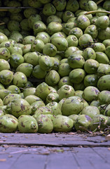 Pile of coconuts in truck bodywork