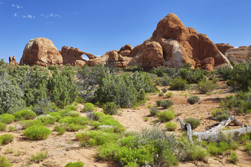 Fototapeta premium Skyline Arch, Arches National Park, Utah
