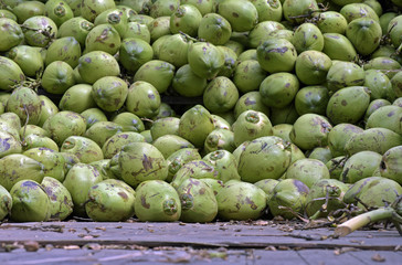 Pile of coconuts in truck bodywork