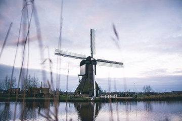 Fototapeta na wymiar Les Moulins de Kinderdijk-Elshout aux Pays-Bas, Netherlands