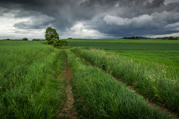 Dramatic stormy sky over green fields rural landscape