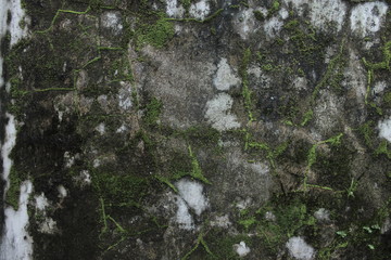 photo background texture