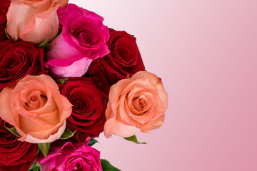 Pink and red rose bouquet with pale pink background