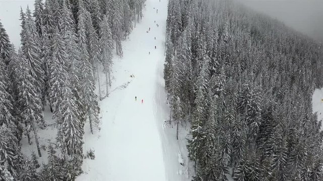 Many skiers and snowboarders descend down the ski slope