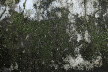 photo background texture