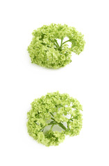 Green decorational flower element