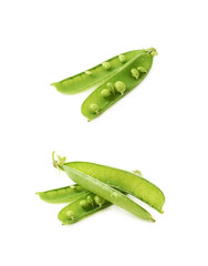 Green pea bean isolated