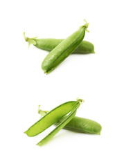 Green pea bean isolated