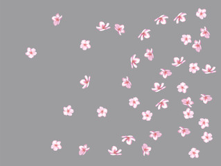 Flying Pink Cherry Blossom, Realistic Vector Background. Beautiful Sakura Soft Romantic Illustration. Wedding Decoration, Flying Pink Cherry Blossom, Love Magic Design. Cool Showering Blooming Sakura