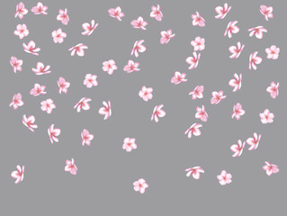 Flying Pink Cherry Blossom, Realistic Vector Background. Beautiful Sakura Soft Romantic Illustration. Wedding Decoration, Flying Pink Cherry Blossom, Love Magic Design. Cool Showering Blooming Sakura