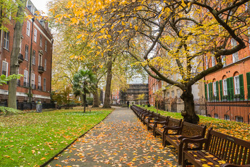 falling leaves in the park with wooden bench for relax in autumn in London