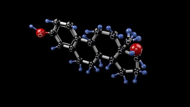 Estradiol molecule. Molecular structure of estradiol female hormone. Steroid. Seamless loop. Alpha channel.
