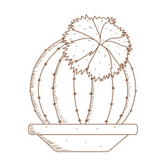 Abstract cute cactus