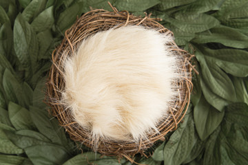 Green Wreath Digital Newborn Backdrop