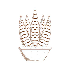 Abstract cute cactus