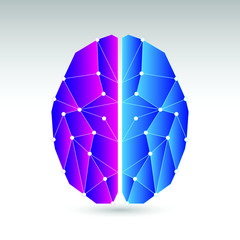 A human brain illustrated in a low poly vector style.