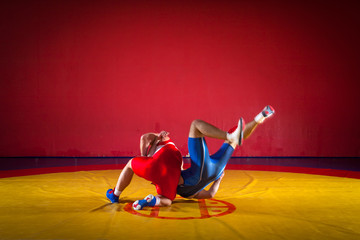 Two strong wrestlers in blue and red wrestling tights are wrestlng and making a suplex wrestling on...